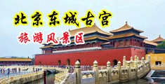 黑人大吊抽插索精视频中国北京-东城古宫旅游风景区